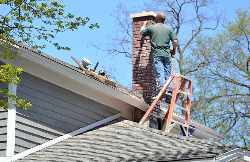 Chimney & Fireplace Inspections Services in Ilchester, MD